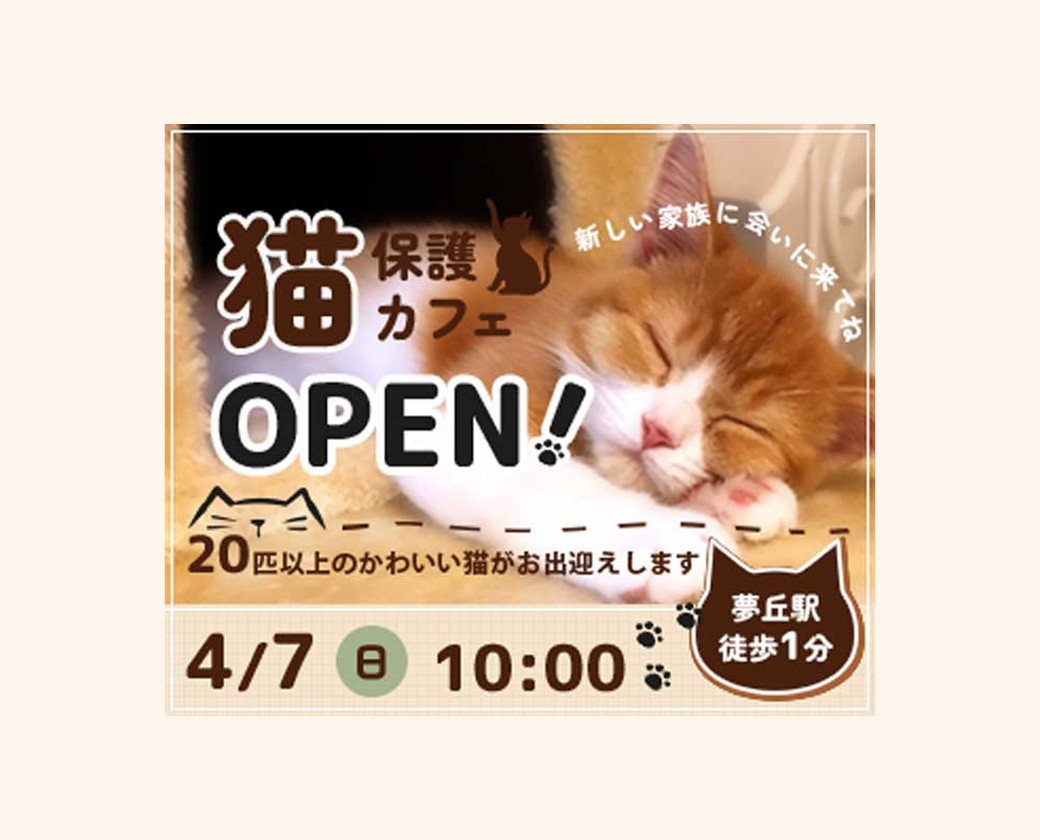 保護猫カフェバナー（架空）