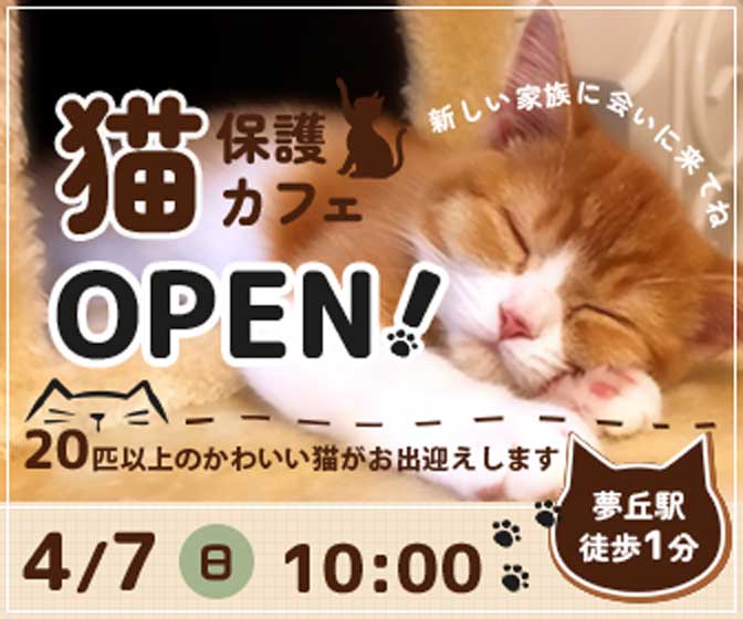 保護猫カフェバナー(架空)